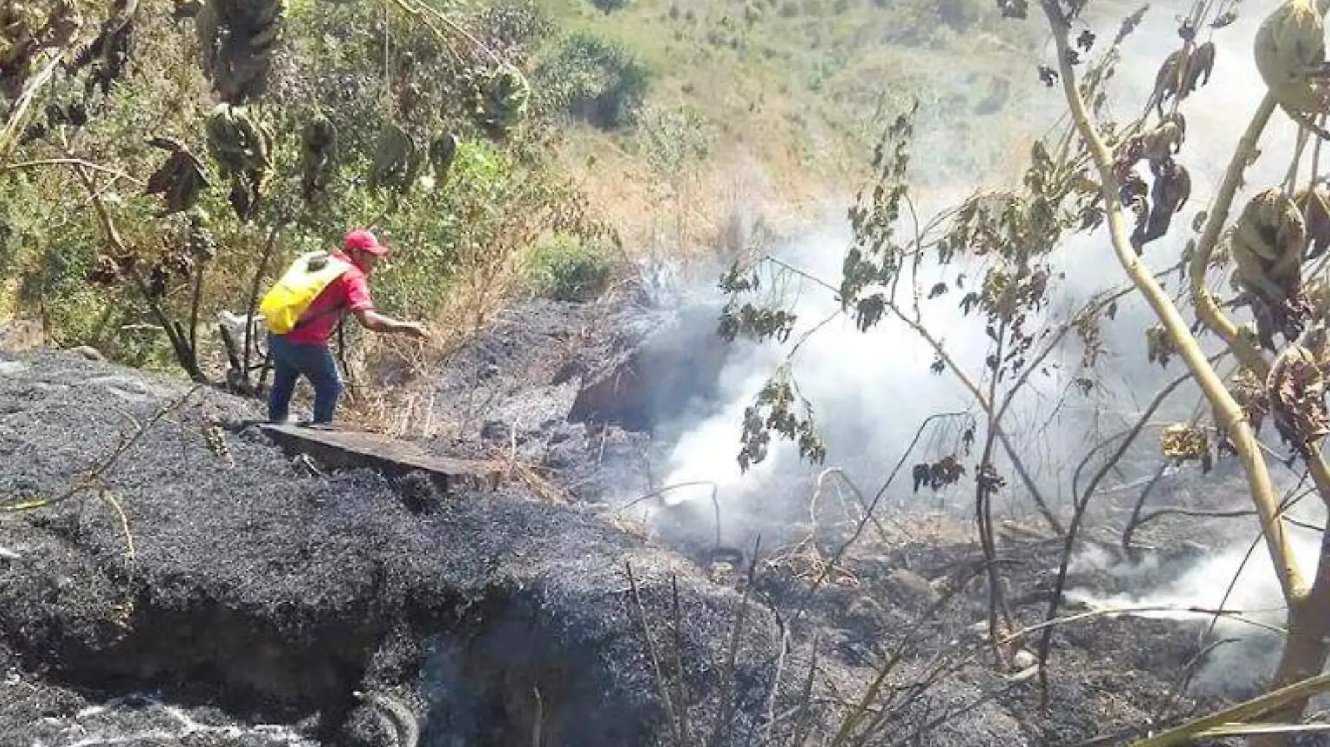 incendios costa chica